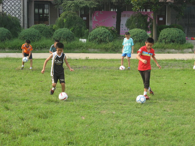 庐阳区教育体育局--新闻中心--大杨校园足球队