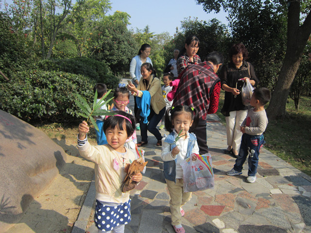 庐阳区教育体育局--新闻中心--宿幼荣城幼:叶子