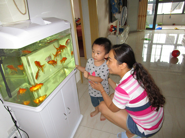 安幼红星早教:搭建桥梁让宝宝快乐行走