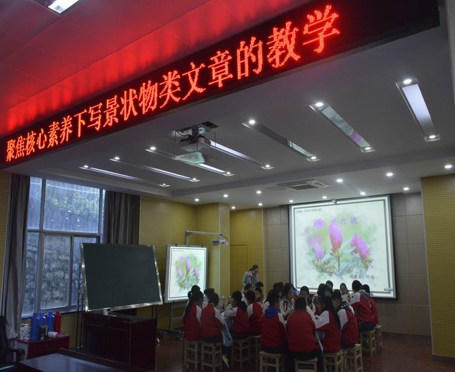 合肥市李霞名师工作室与巢湖市东风路小学联动