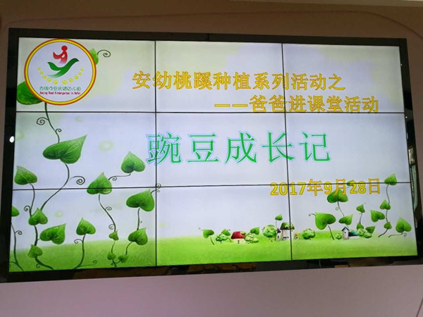 安幼桃蹊分园:豌豆成长记