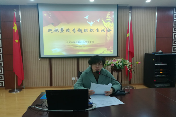 钢小召开巡视整改专题组织生活会