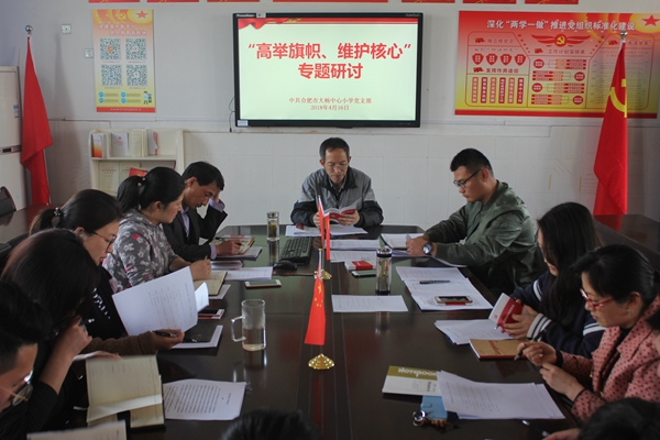 大杨中心小学党支部开展高举旗帜 维护核心专