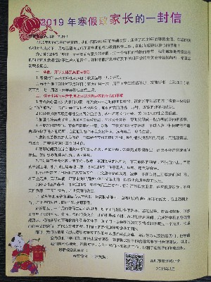 亳小:缤纷冬日 在一起寒假少先队活动专题会