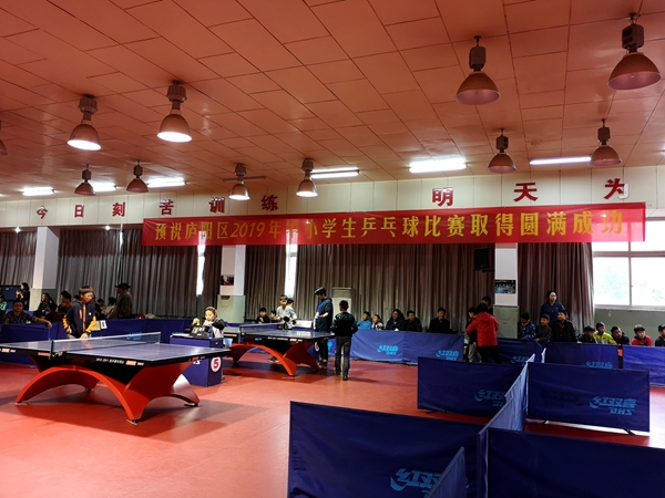 庐阳区2019年中小学生乒乓球比赛在南门小学